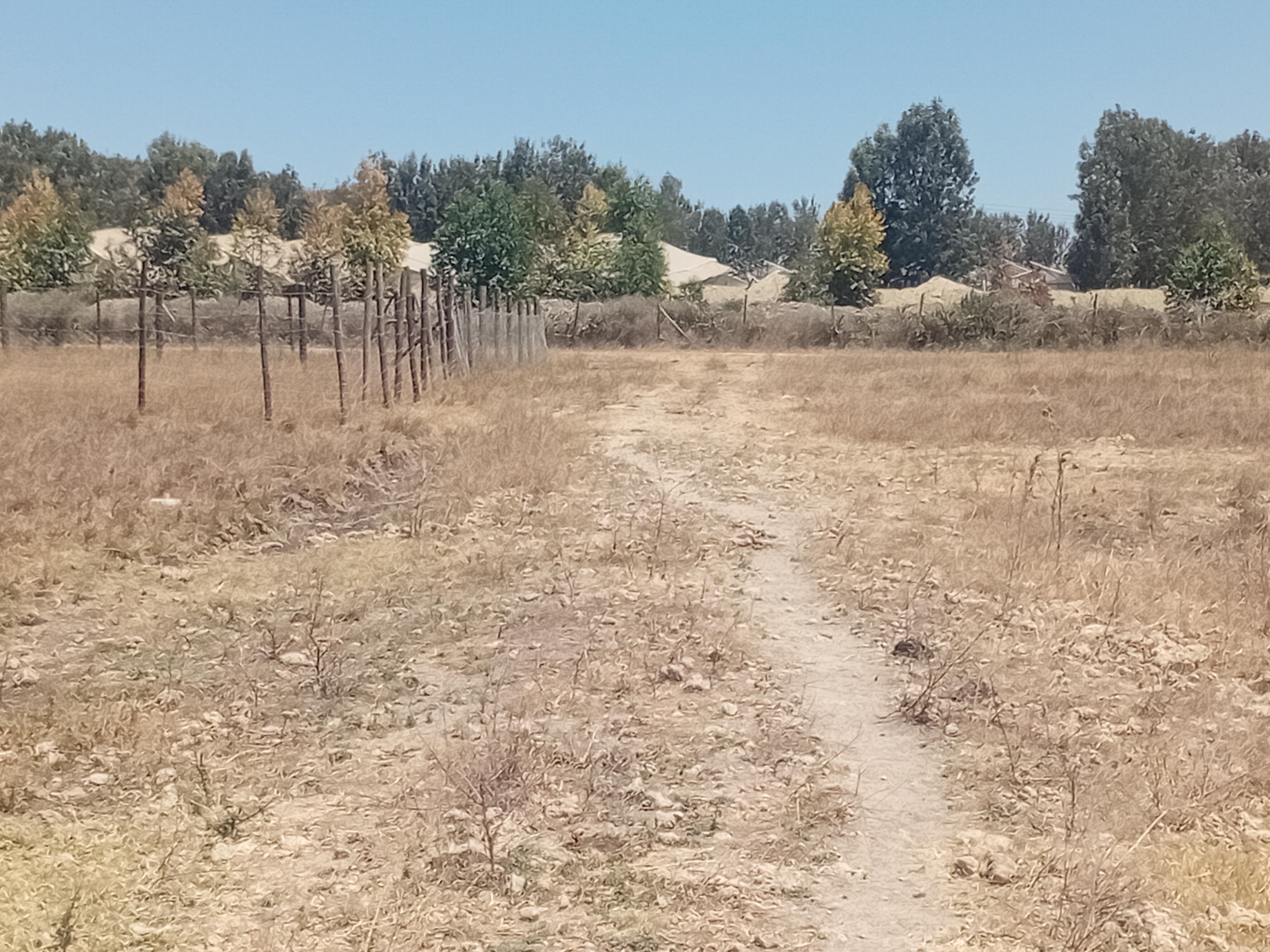 Kitengela Kisaju plots for sale