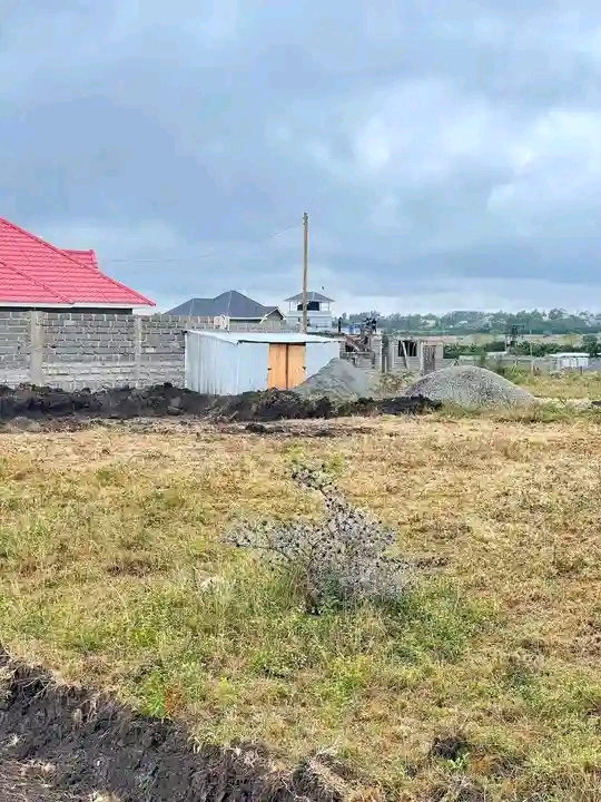 Nyota properties 