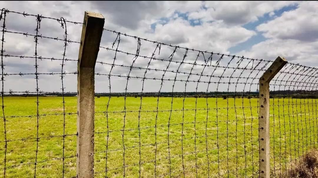 50 x 100 Plot near KAG University