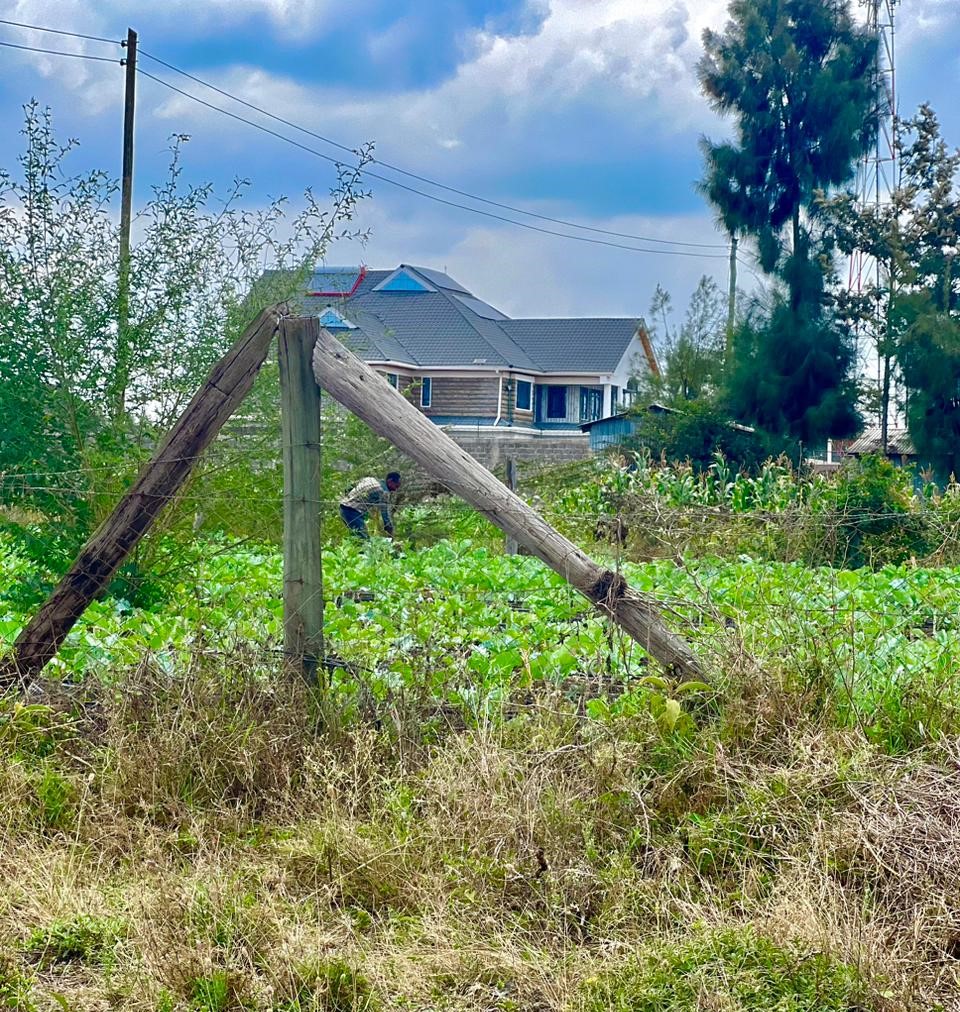 Kisaju plots for sale